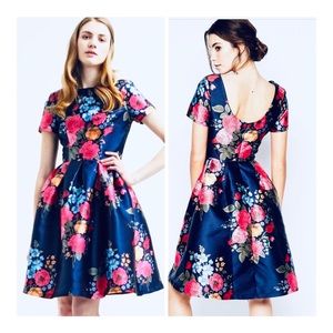 NWT. Chi Chi London Amber Floral Navy Dress. 12